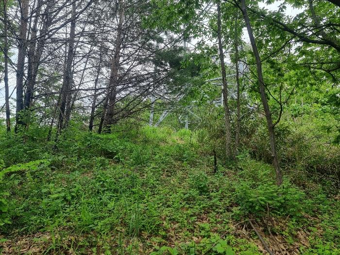 사진 07