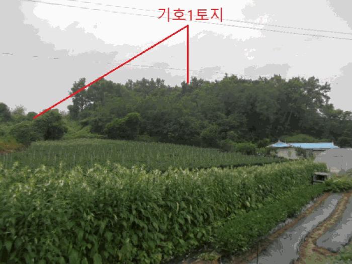 사진 05