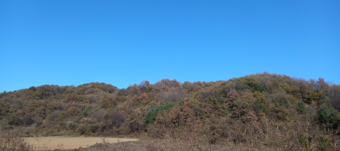 사진 05