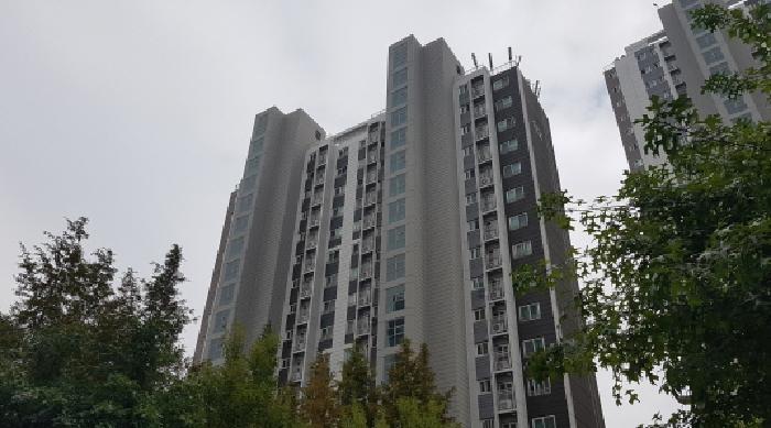 사진 05