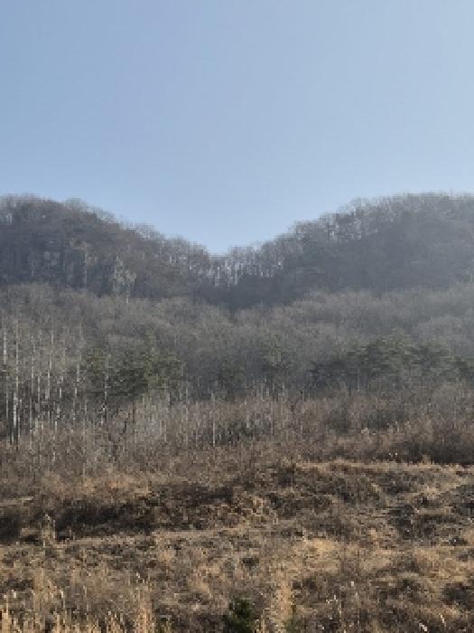 사진 06