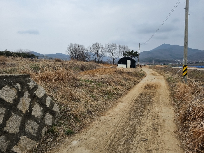 사진 02