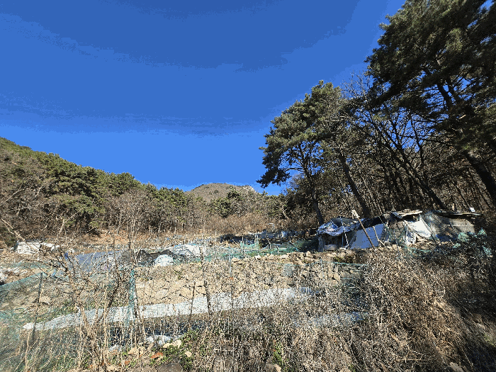 사진 04