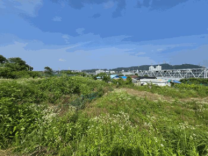 사진 07