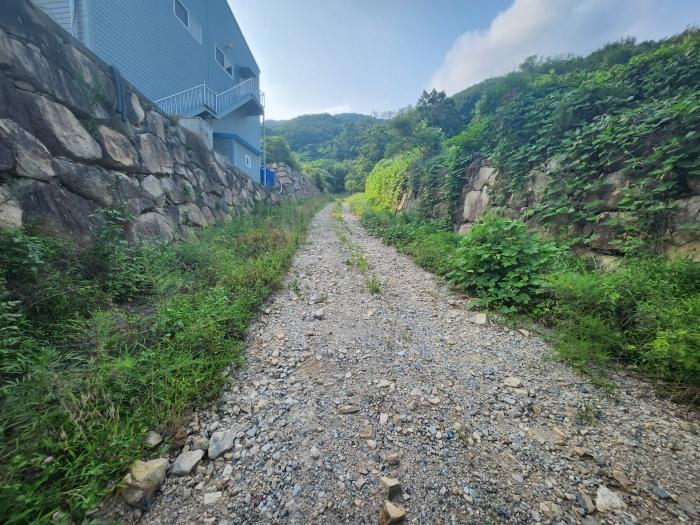 사진 08