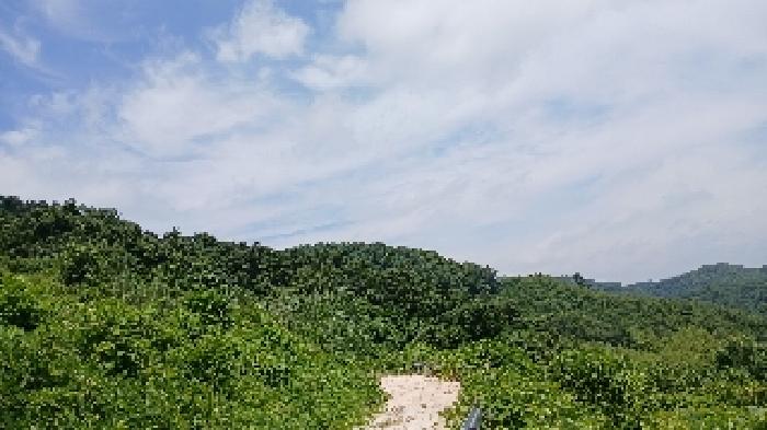 사진 02
