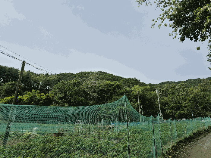 사진 06