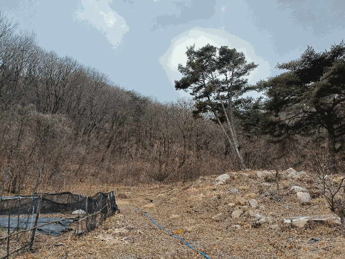 사진 06