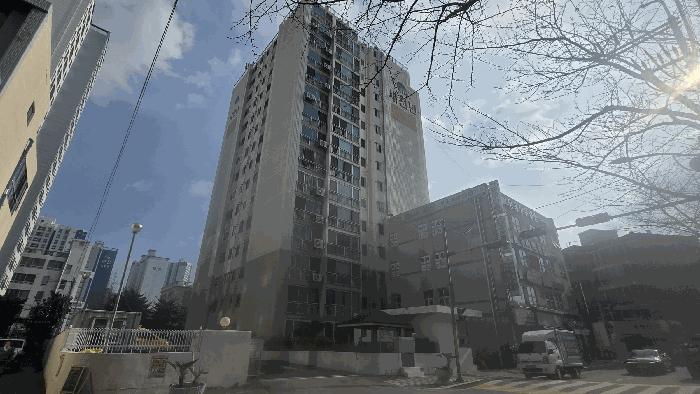 사진 01