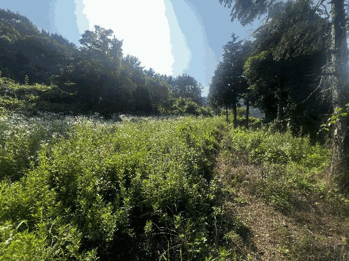 사진 05
