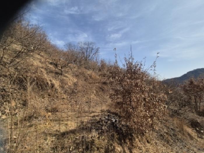 사진 07