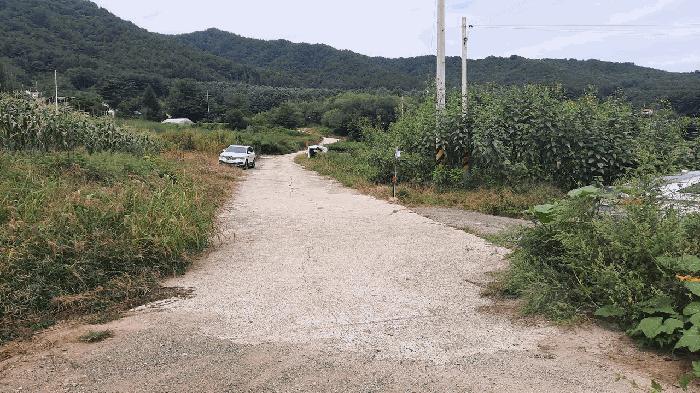 사진 02