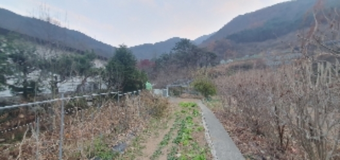 사진 03