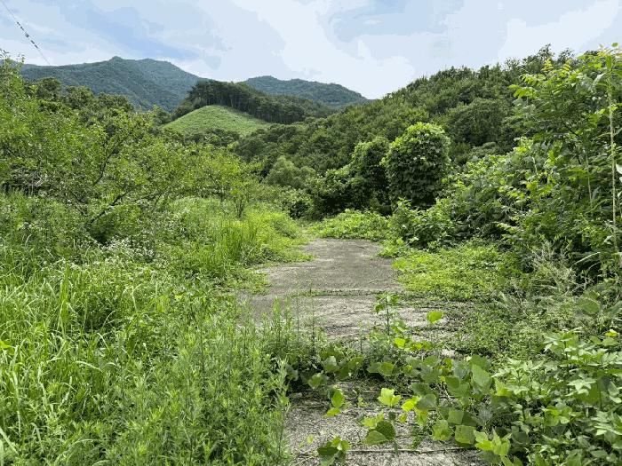 사진 03
