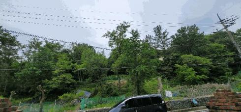 사진 02