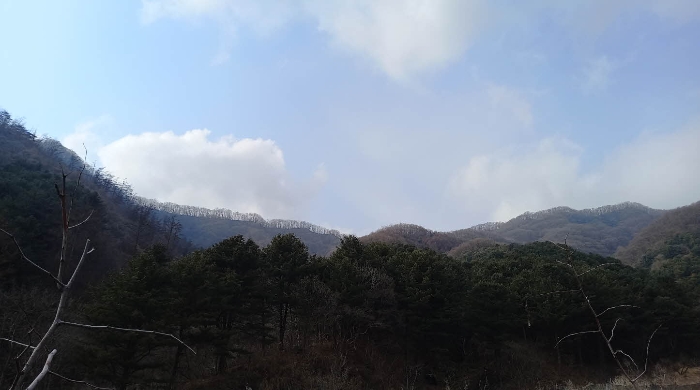 사진 01