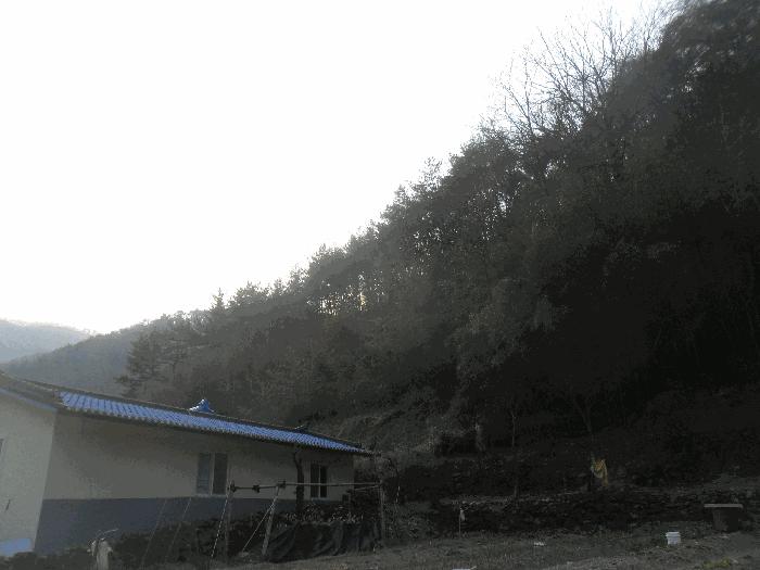 사진 06