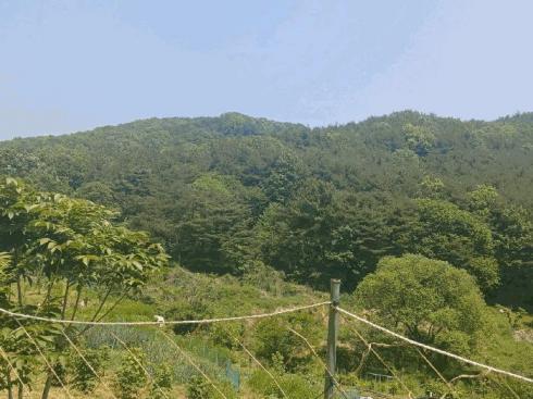 사진 01