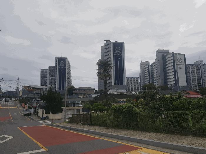 사진 01