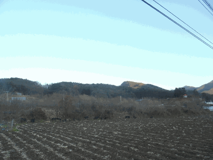 사진 03