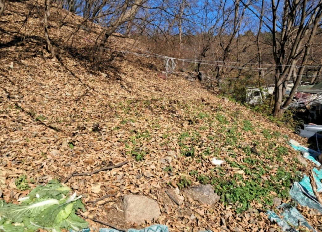 사진 08