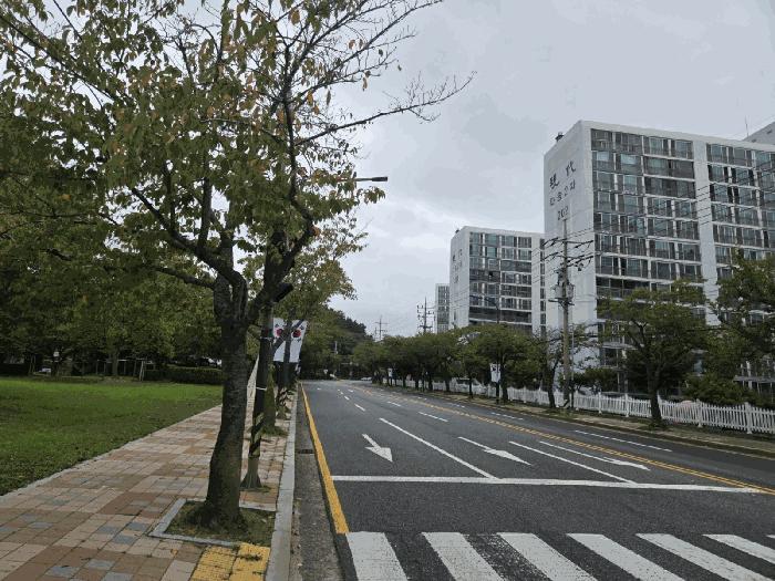 사진 06
