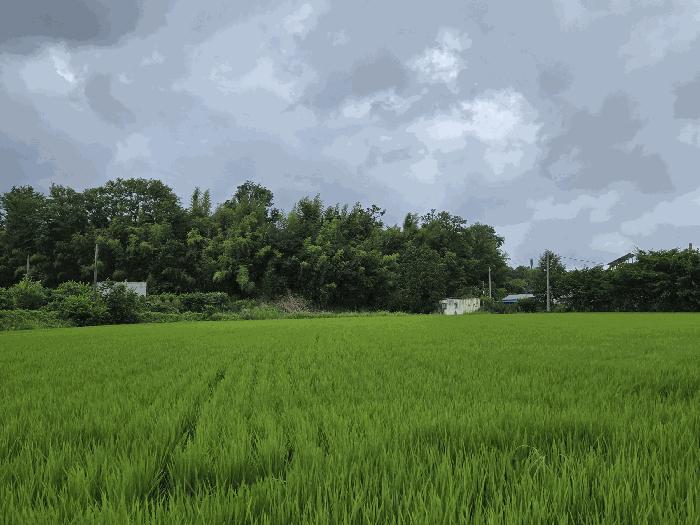 사진 03
