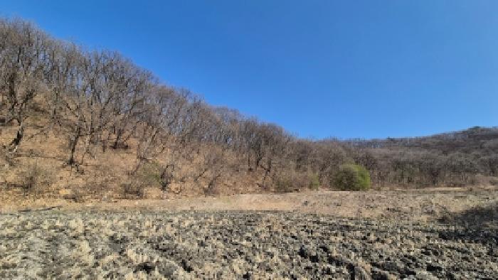 사진 03