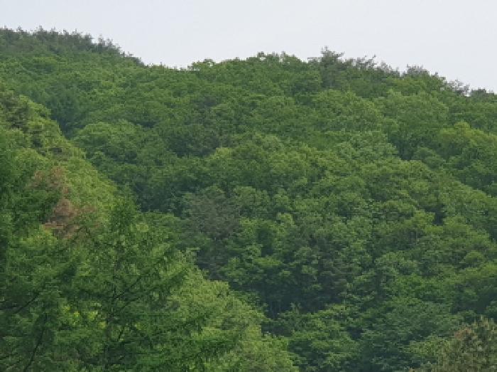사진 02
