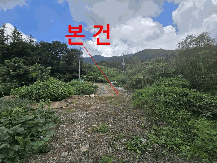 사진 08