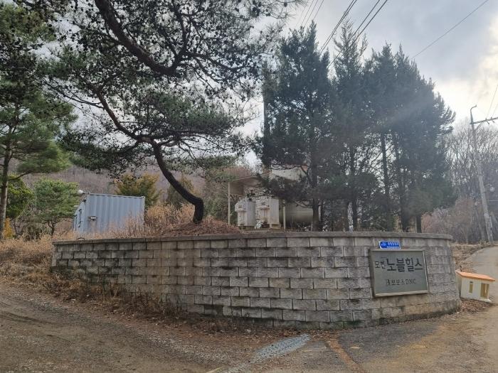 사진 03