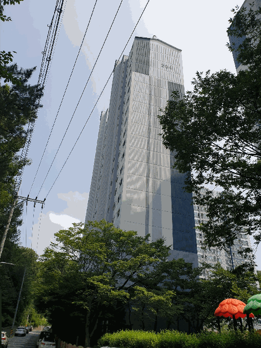 사진 08