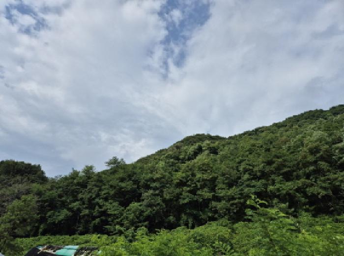 사진 07