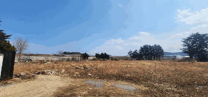 사진 03