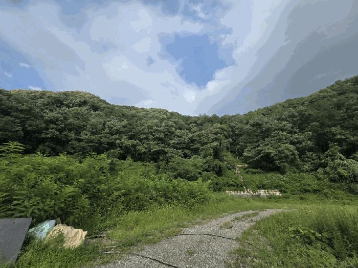 사진 02
