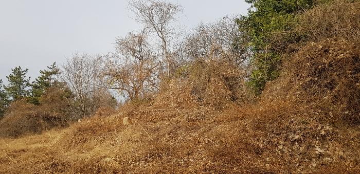 사진 07
