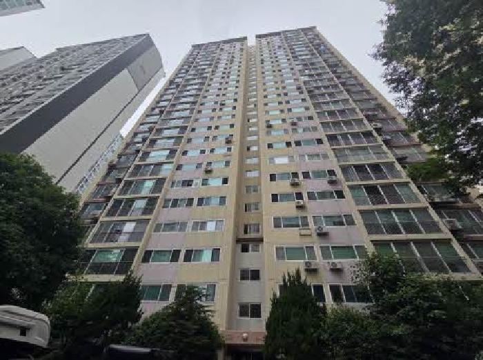 사진 06