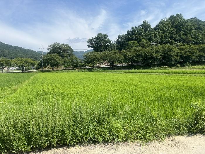 사진 01