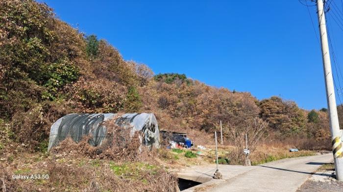 사진 07