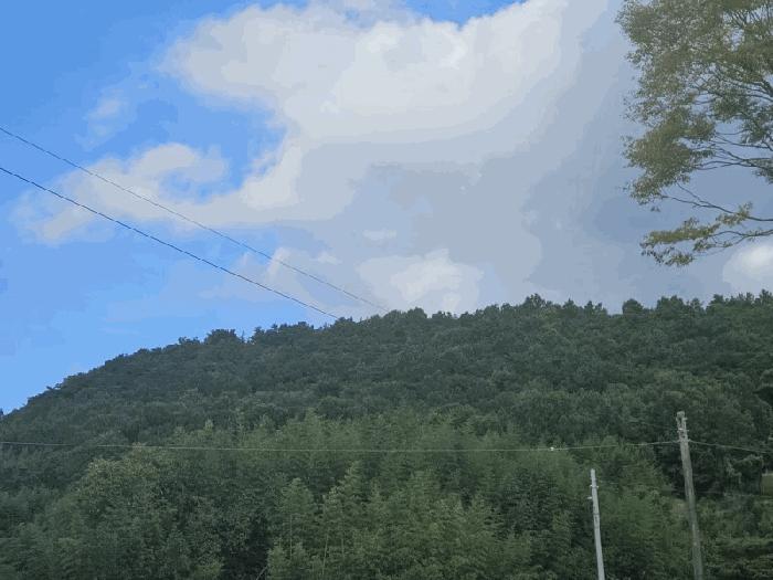 사진 03