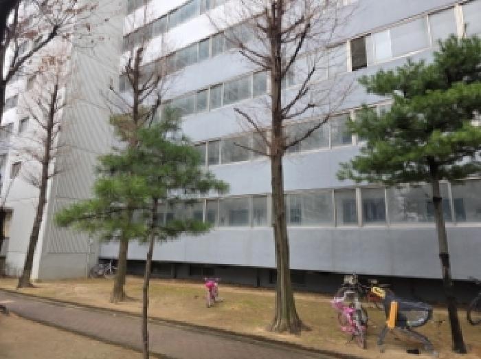 사진 01