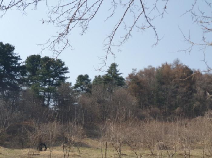 사진 02