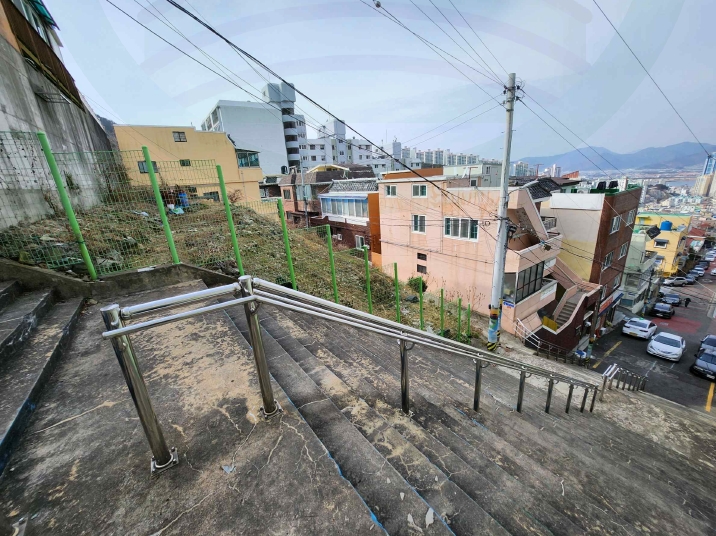 사진 02