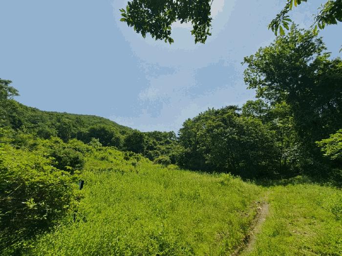 사진 04