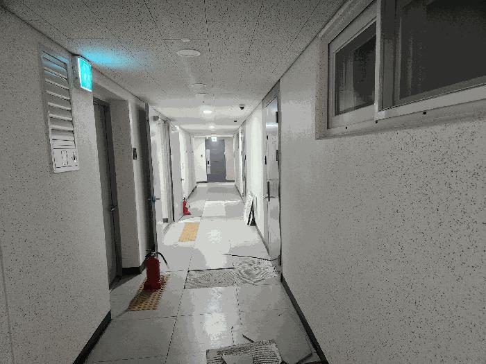 사진 02