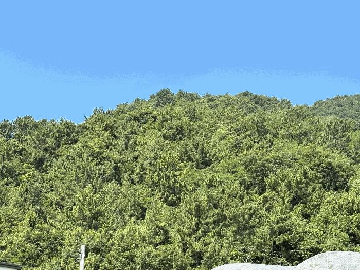 사진 07