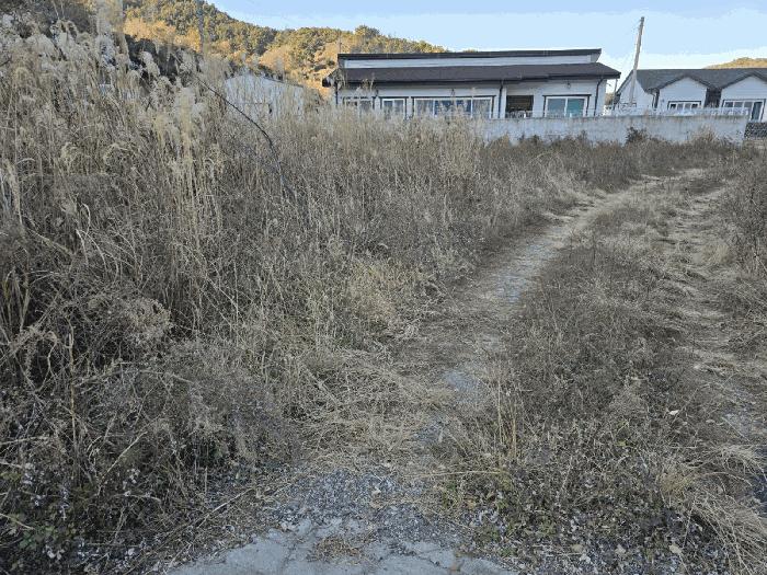 사진 05