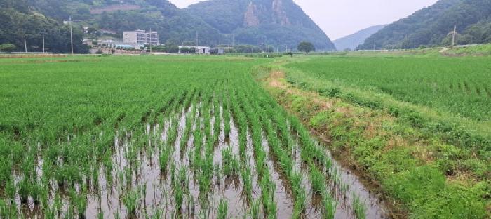 사진 04