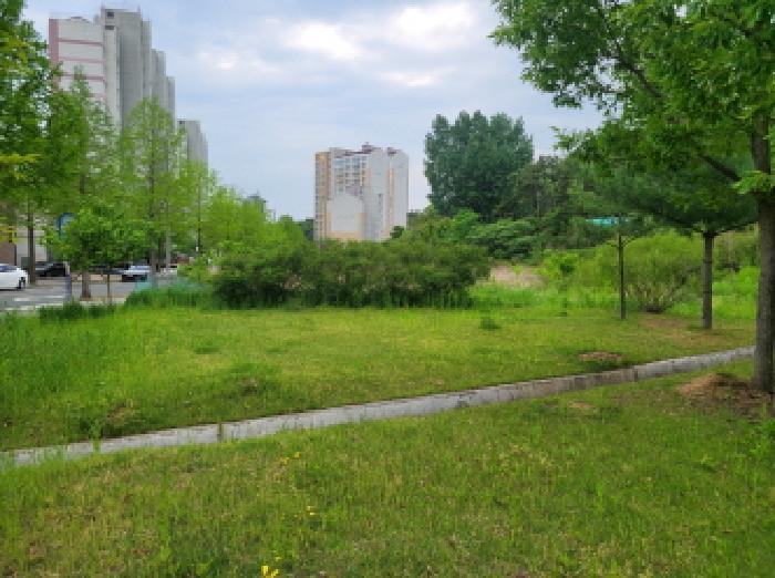 사진 06