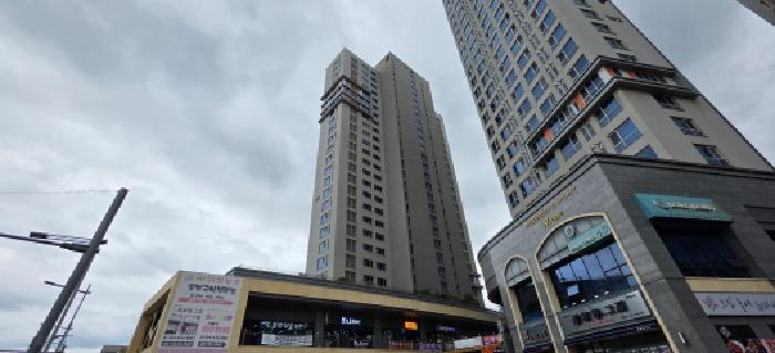 사진 05